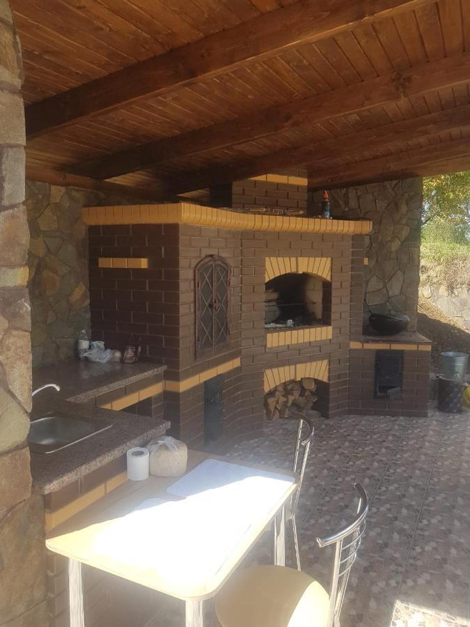 Villa Paraiso Karpaty Tesnitska Ngoại thất bức ảnh